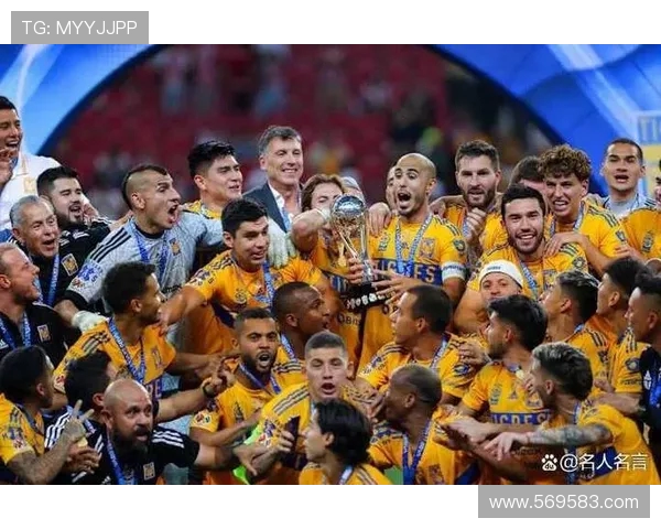 托卢卡与普球队对决精彩纷呈谁能在这场较量中笑到最后 托卢卡与普球队对决精彩纷呈谁能在这场较量中笑到最后