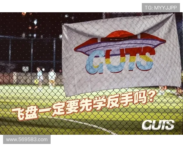 飞盘新手必看：从零基础到比赛高手的全面入门指南