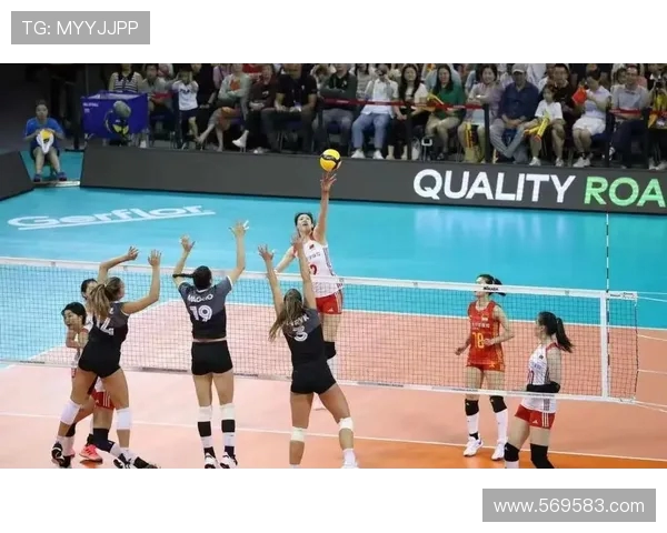 重庆排球队实力分析与表现评估全面解读