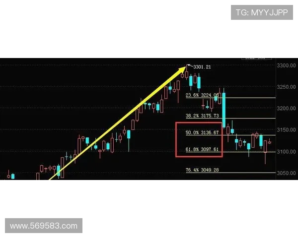广州飞盘队阵地战战术解析与实战应用全方位解读