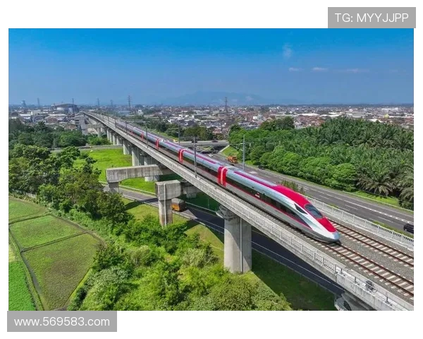 杭州排球队勇闯欧锦赛的辉煌历程与背后故事揭秘